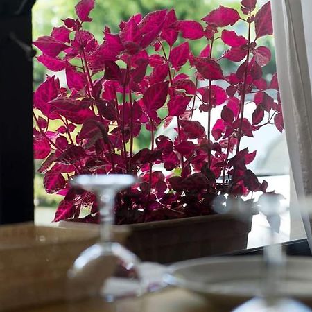Hotel Annarita Римини Экстерьер фото